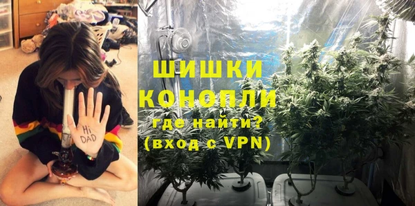 ПСИЛОЦИБИНОВЫЕ ГРИБЫ Алексин