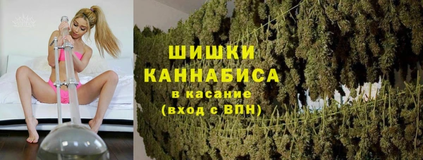 ПСИЛОЦИБИНОВЫЕ ГРИБЫ Алексин