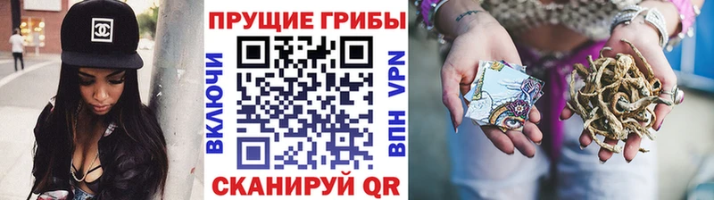Галлюциногенные грибы GOLDEN TEACHER  omg   Дорогобуж 